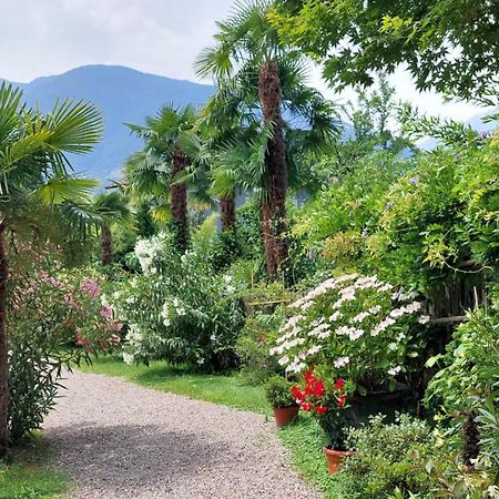 Nora S Home 5 - Panoramic Terrace & Bio Garden Merano Luaran gambar
