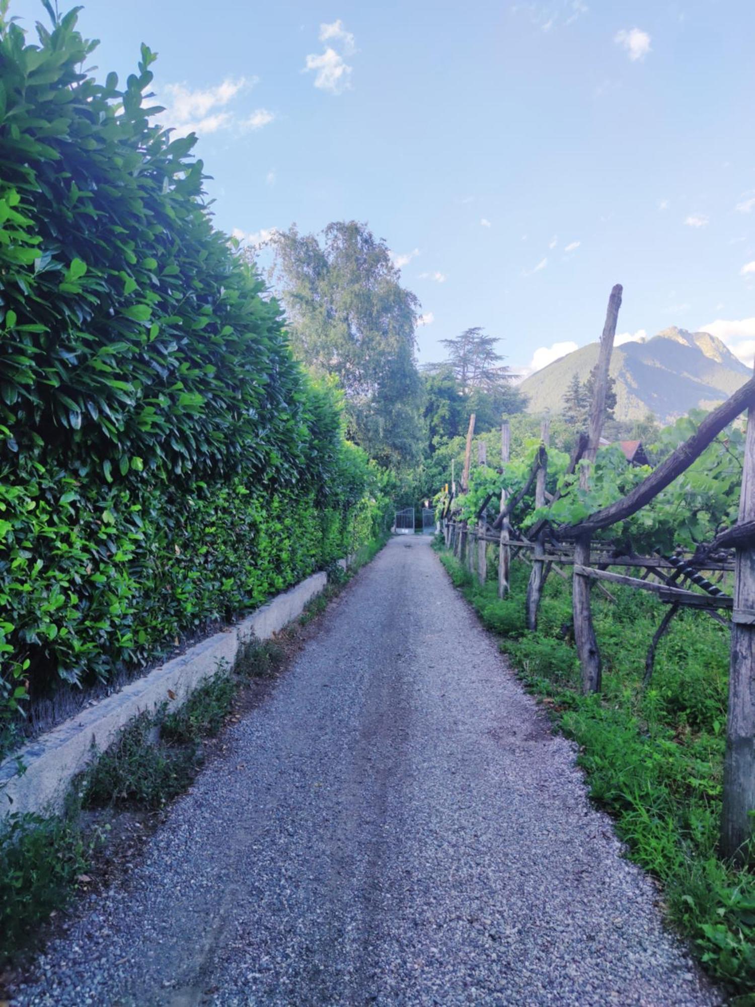 Nora S Home 5 - Panoramic Terrace & Bio Garden Merano Luaran gambar