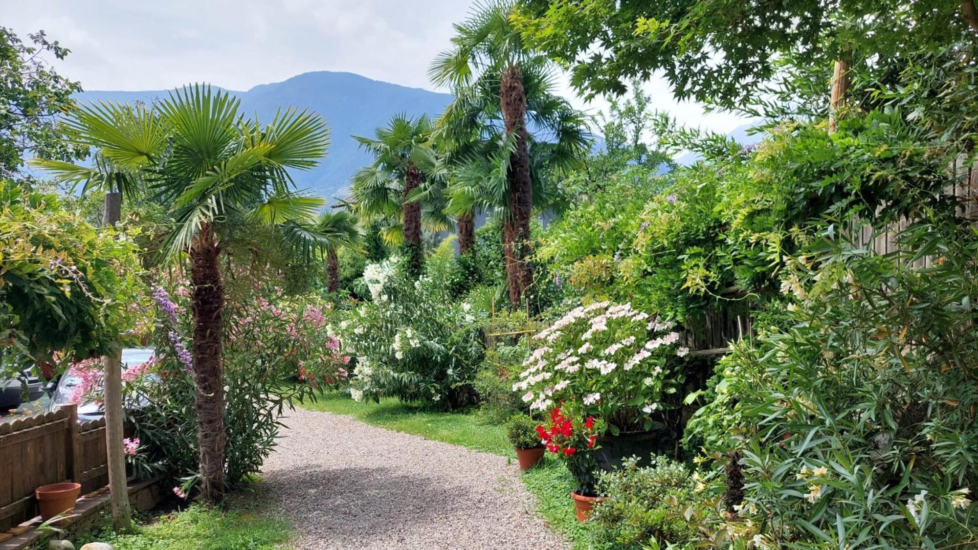 Nora S Home 5 - Panoramic Terrace & Bio Garden Merano Luaran gambar